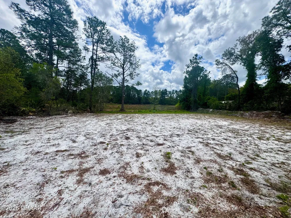 Viola Avenue Eustis, FL 32736