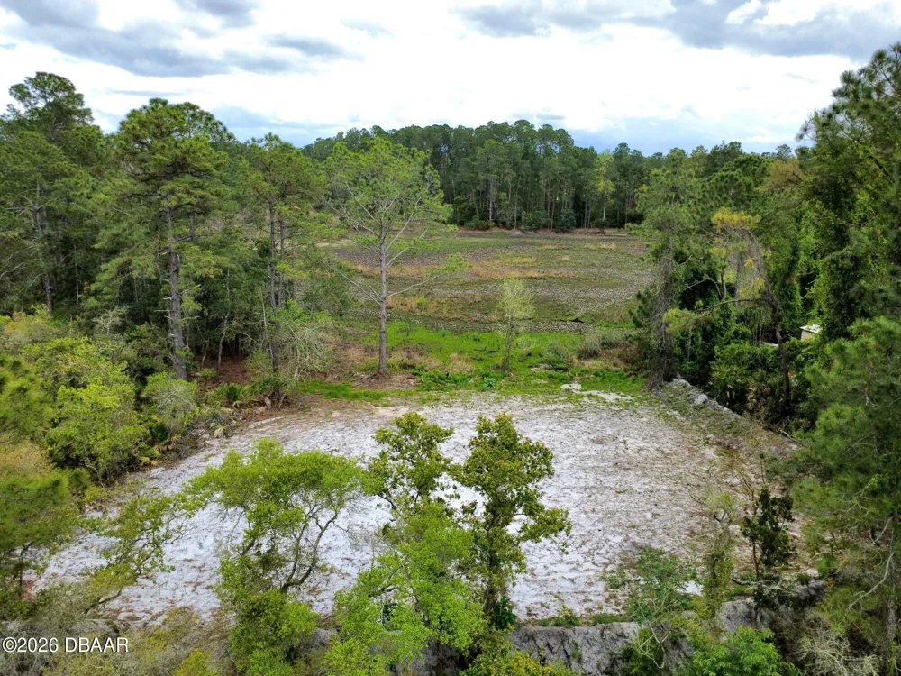 Viola Avenue Eustis, FL 32736
