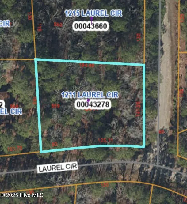 1211 Laurel Circle Vass, NC 28394