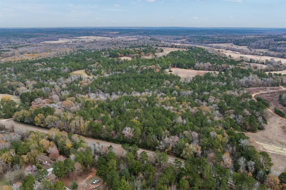 14770 FM 315 Palestine, TX 75803
