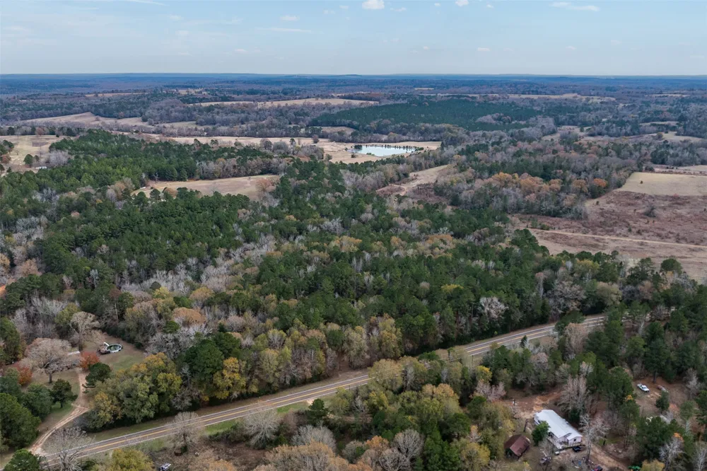 14770 FM 315 Palestine, TX 75803