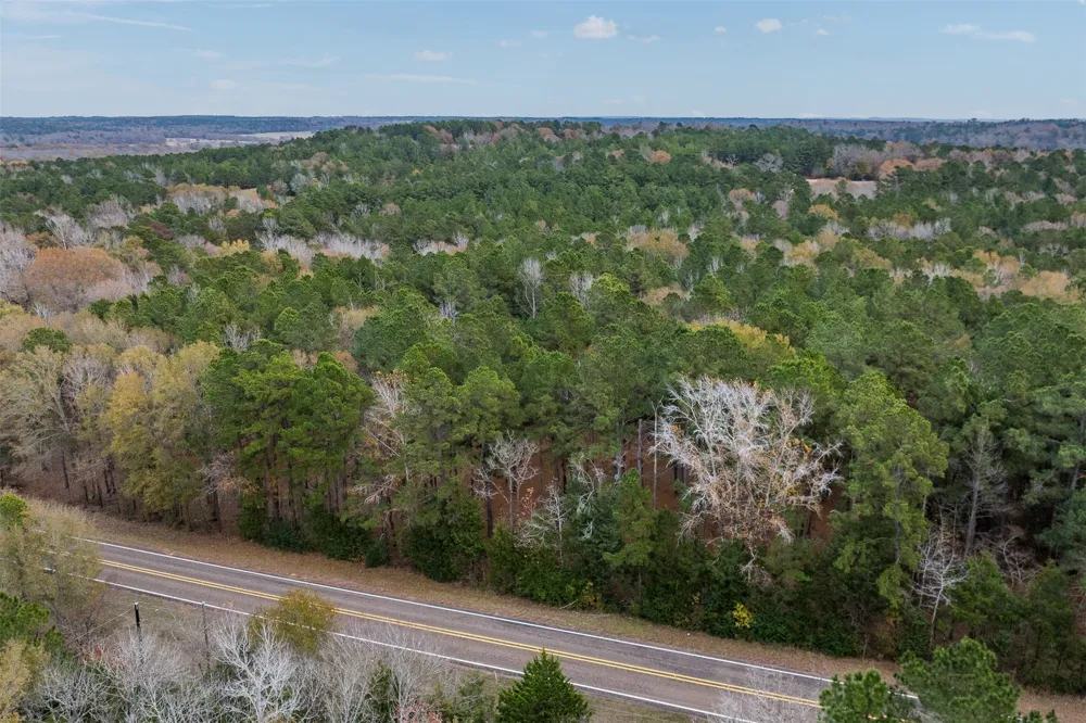 14770 FM 315 Palestine, TX 75803