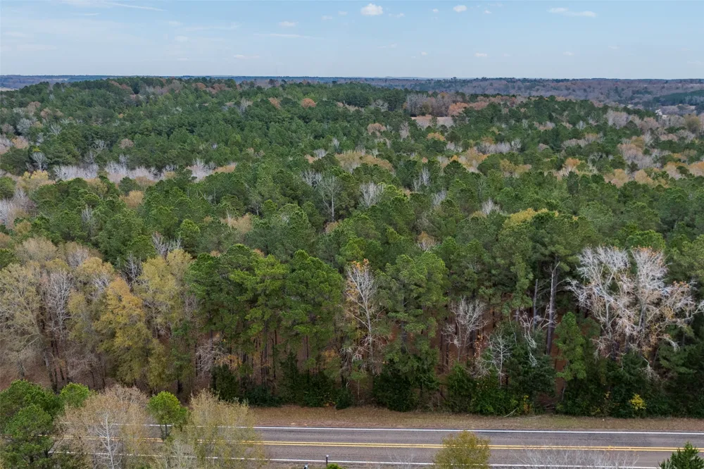 14770 FM 315 Palestine, TX 75803