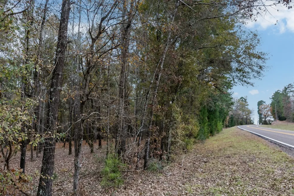14770 FM 315 Palestine, TX 75803