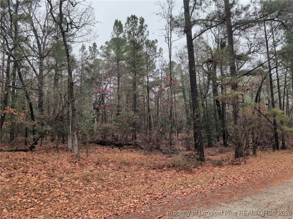 1211 Laurel Circle Vass, NC 28394