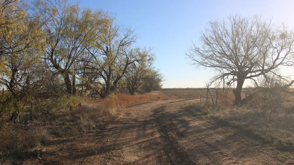 E. Overland Trail Abilene, TX 79601