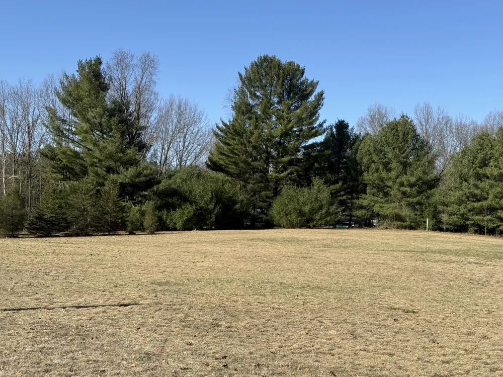 3345 W Madison Road Weare Township, MI 49420