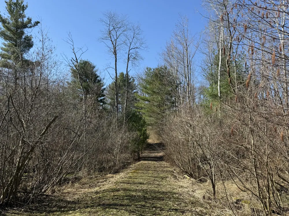 3345 W Madison Road Weare Township, MI 49420