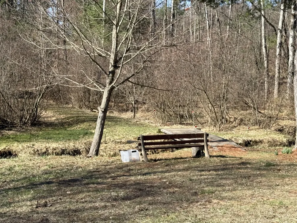 3345 W Madison Road Weare Township, MI 49420