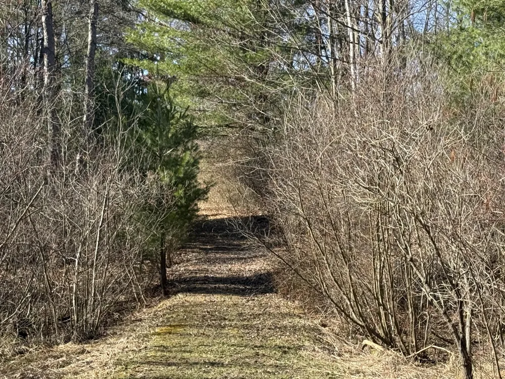 3345 W Madison Road Weare Township, MI 49420