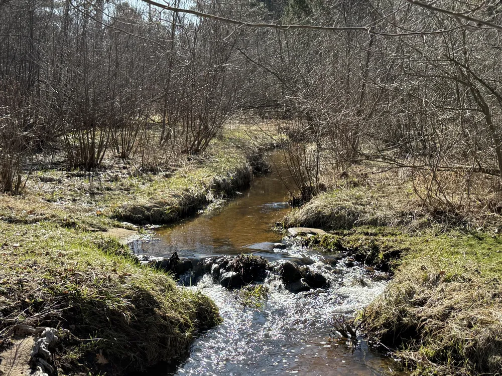 3345 W Madison Road Weare Township, MI 49420