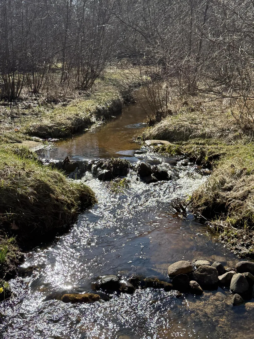 3345 W Madison Road Weare Township, MI 49420