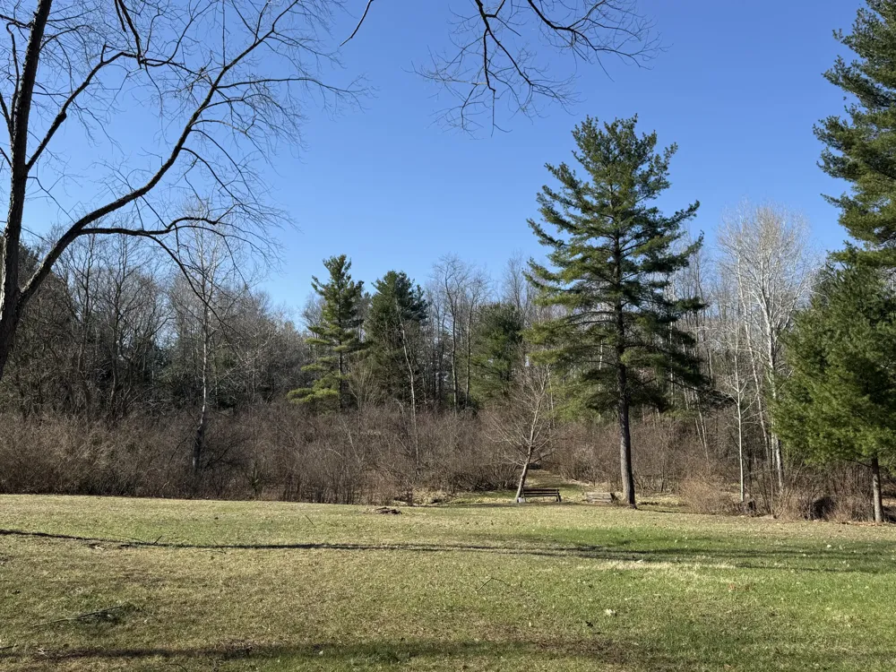 3345 W Madison Road Weare Township, MI 49420