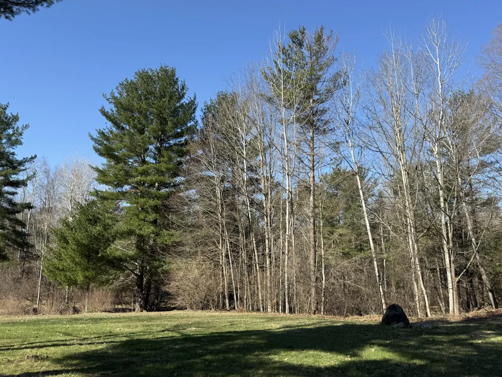 3345 W Madison Road Weare Township, MI 49420