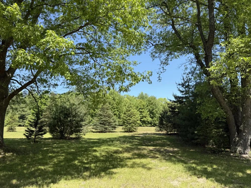 3345 W Madison Road Weare Township, MI 49420