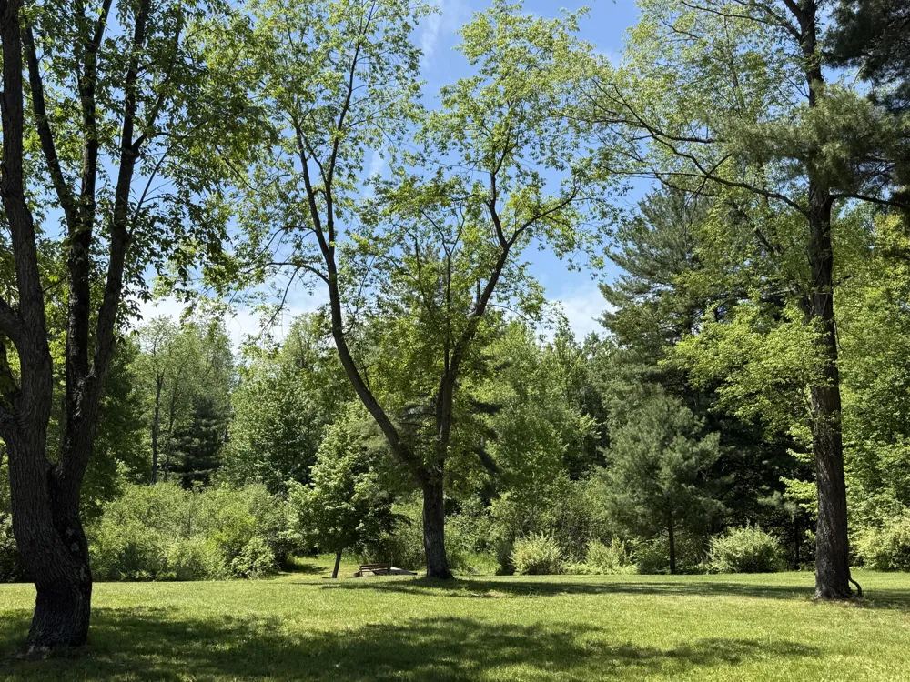 3345 W Madison Road Weare Township, MI 49420