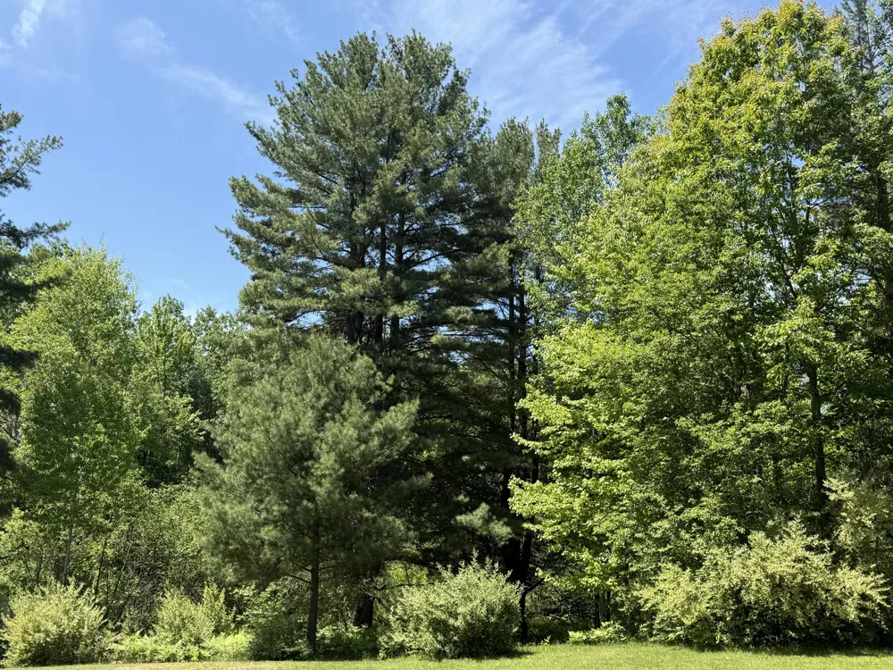 3345 W Madison Road Weare Township, MI 49420