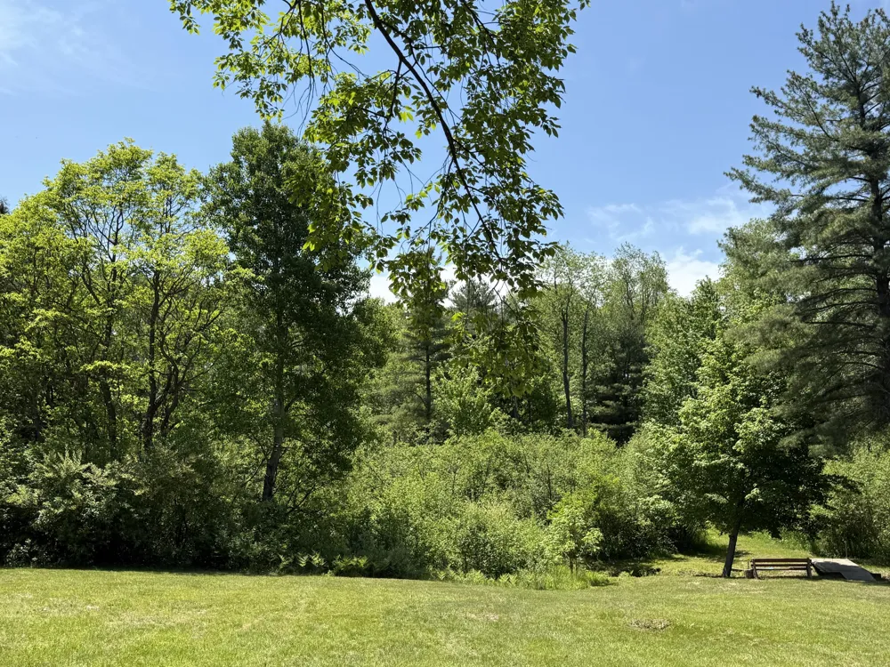 3345 W Madison Road Weare Township, MI 49420
