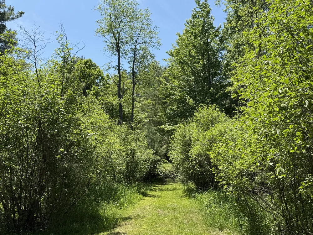 3345 W Madison Road Weare Township, MI 49420