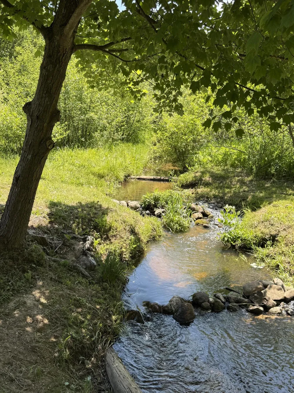 3345 W Madison Road Weare Township, MI 49420