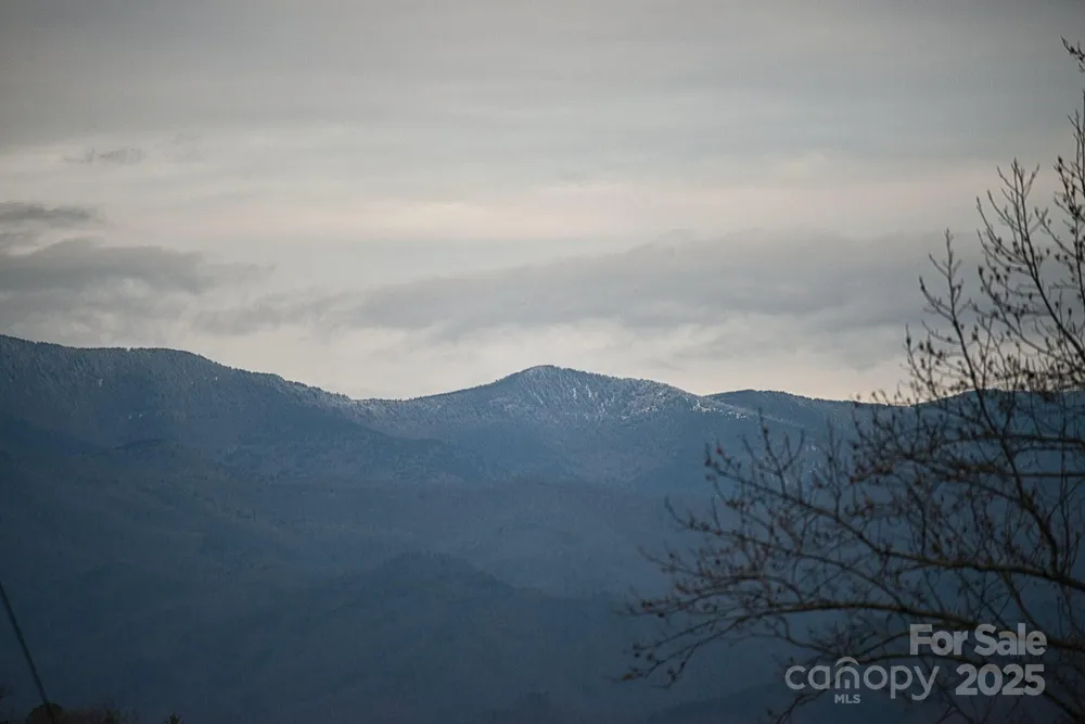 00 Jarrell Loop Old Fort, NC 28762