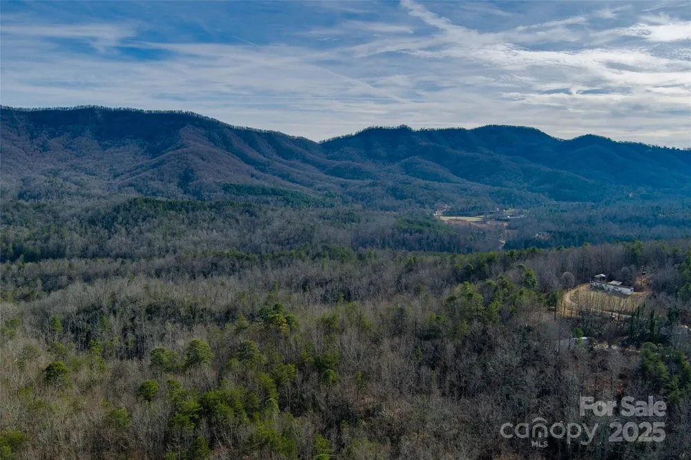00 Jarrell Loop Old Fort, NC 28762