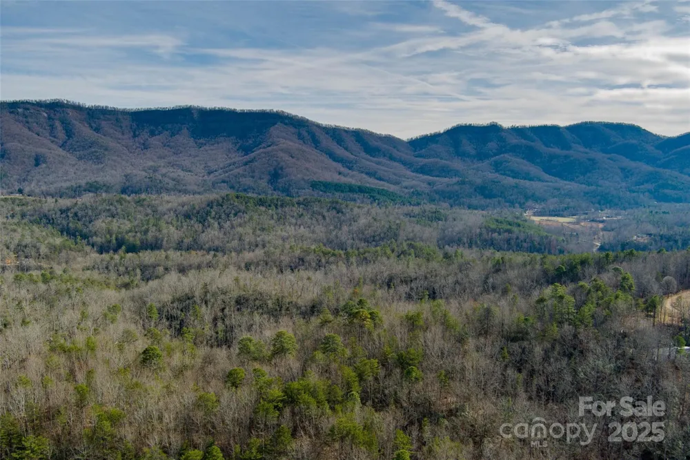 00 Jarrell Loop Old Fort, NC 28762