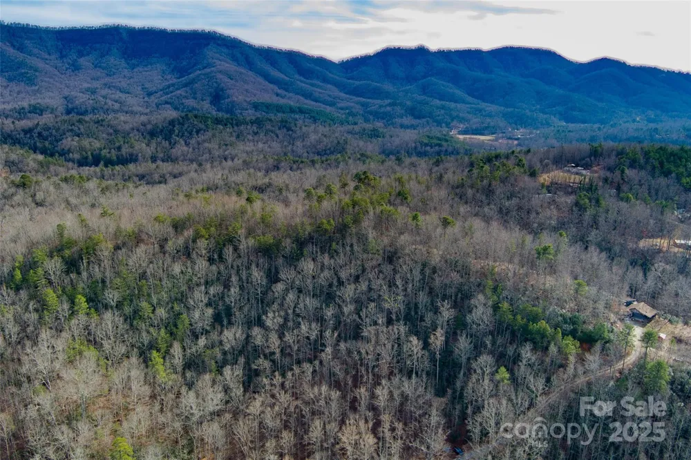 00 Jarrell Loop Old Fort, NC 28762