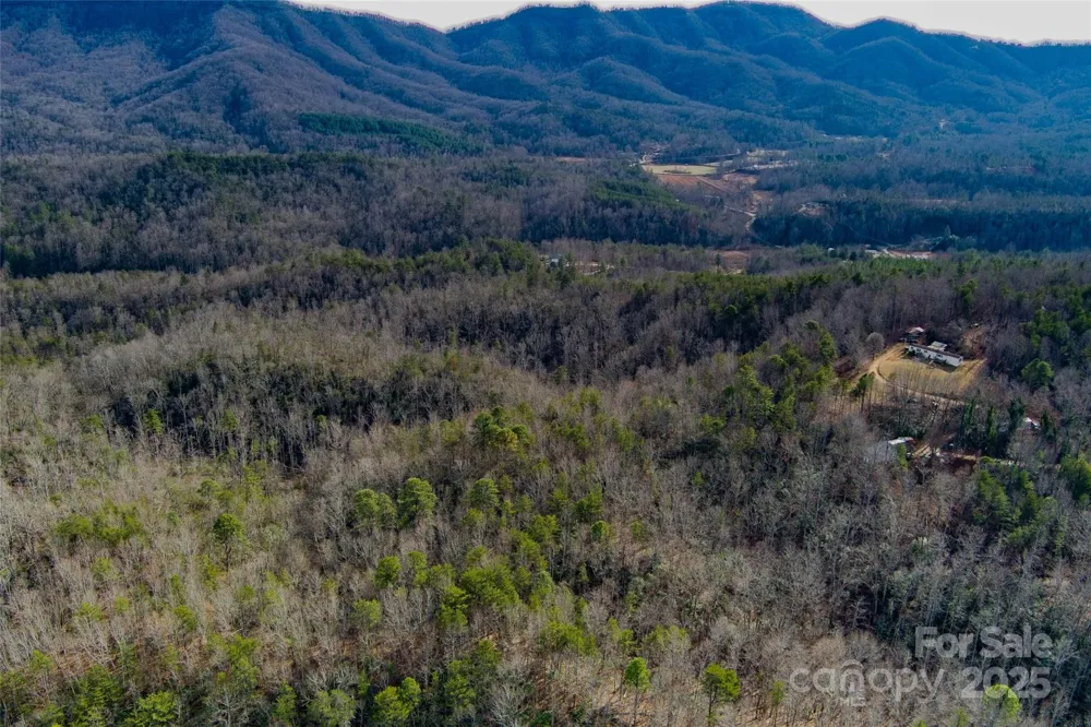 00 Jarrell Loop Old Fort, NC 28762