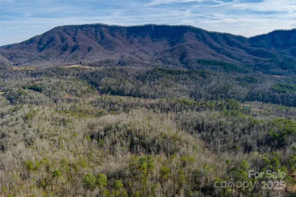 00 Jarrell Loop Old Fort, NC 28762
