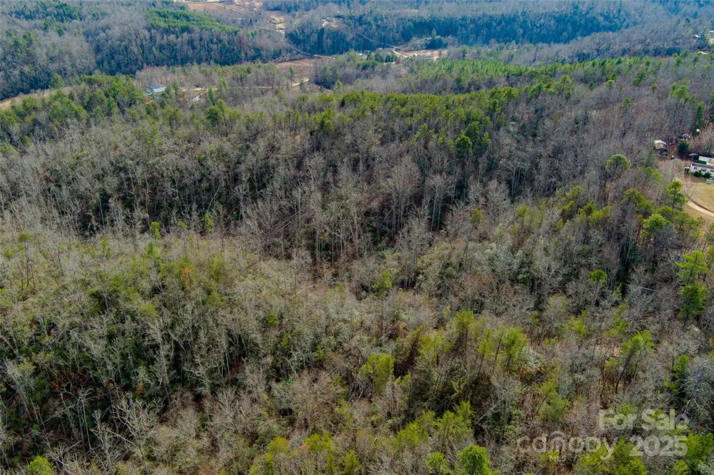 00 Jarrell Loop Old Fort, NC 28762