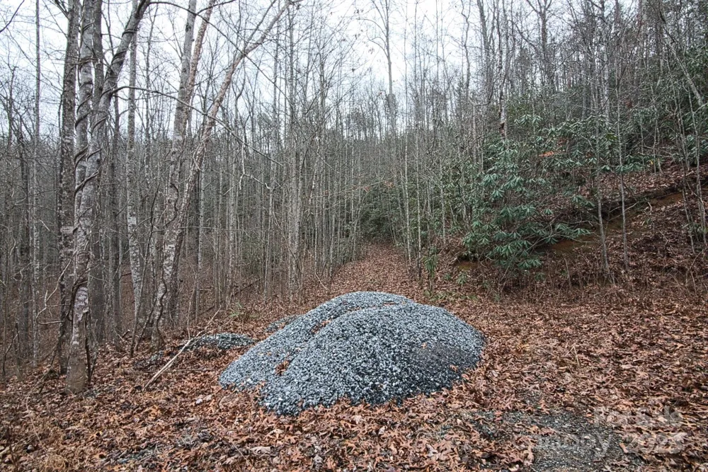 00 Jarrell Loop Old Fort, NC 28762