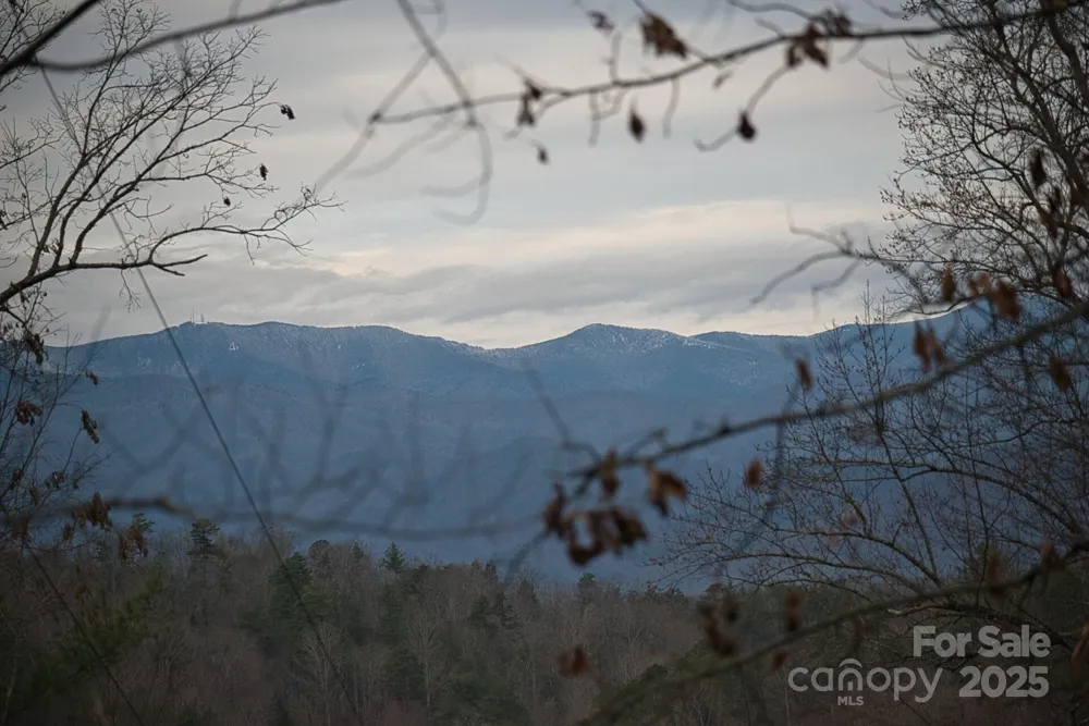 00 Jarrell Loop Old Fort, NC 28762