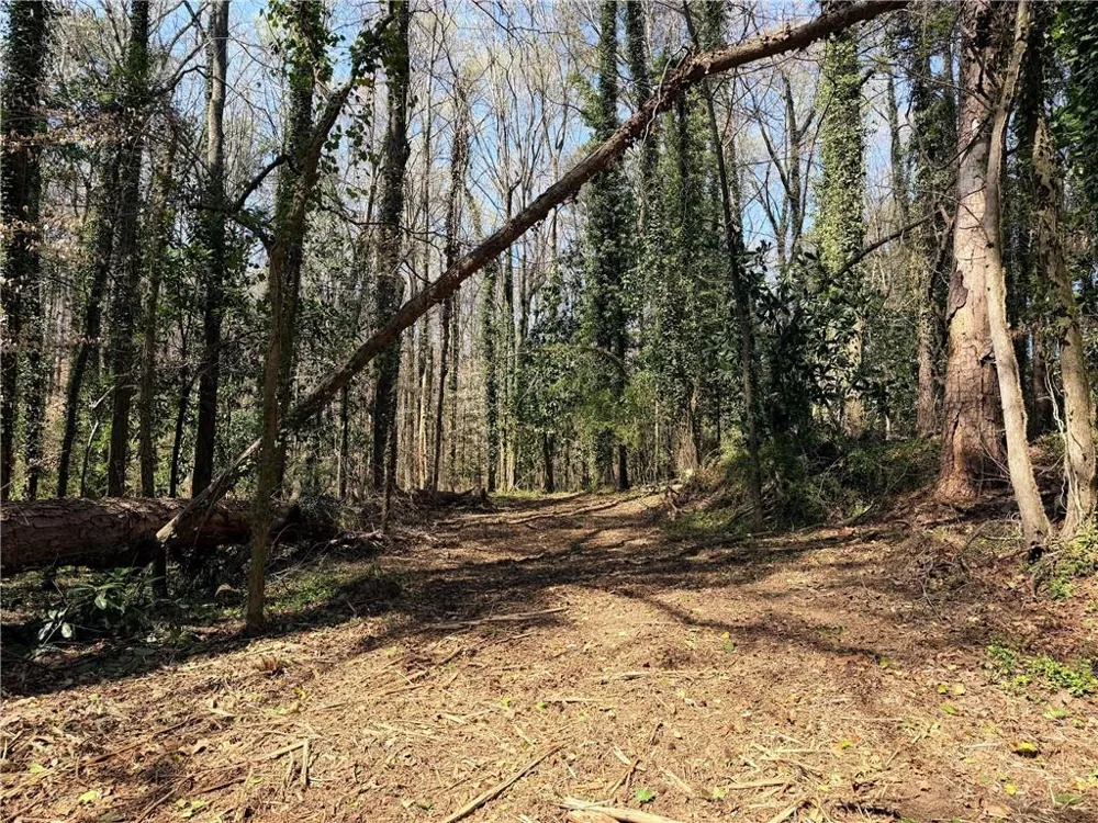 Lot 4 Miller Street Lithia Springs, GA 30122