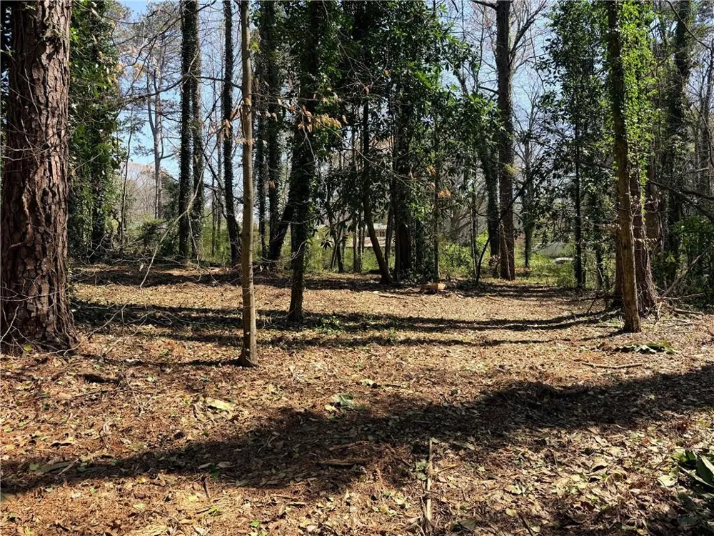 Lot 4 Miller Street Lithia Springs, GA 30122