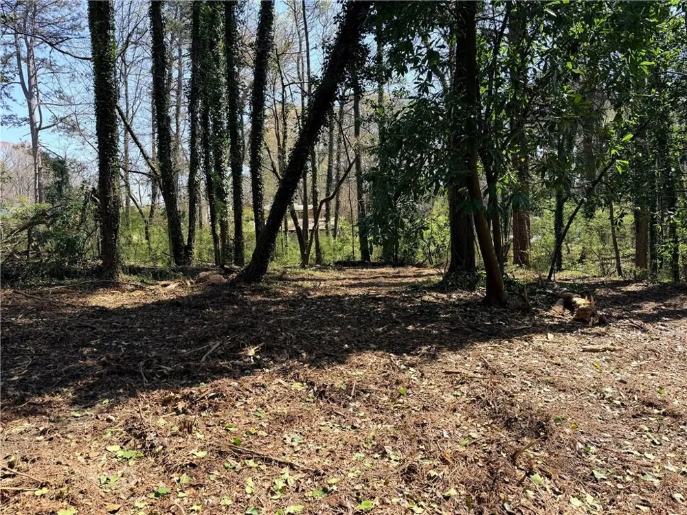 Lot 4 Miller Street Lithia Springs, GA 30122
