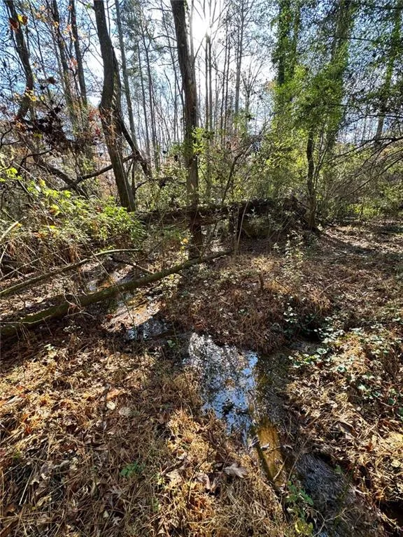 Lot 4 Miller Street Lithia Springs, GA 30122