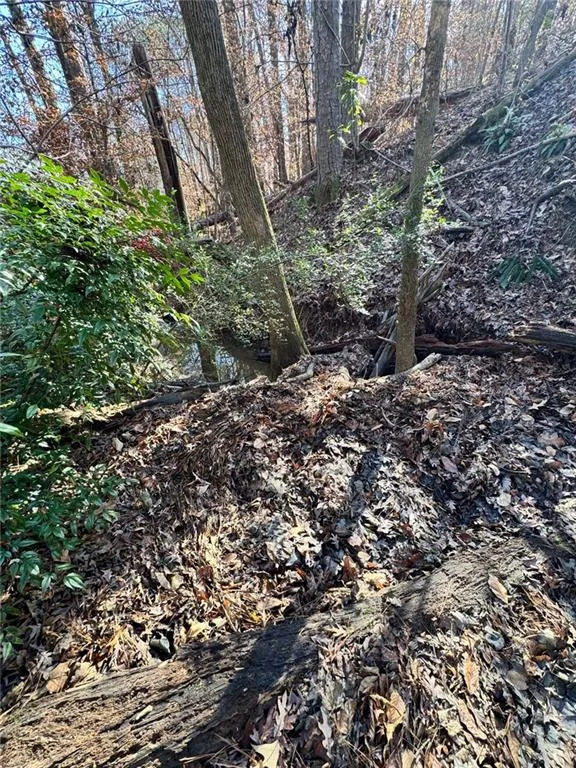 Lot 4 Miller Street Lithia Springs, GA 30122