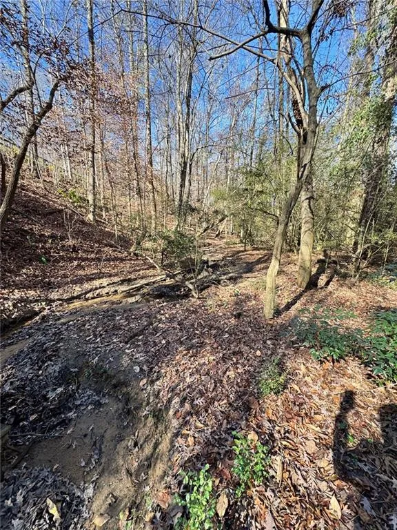 Lot 4 Miller Street Lithia Springs, GA 30122