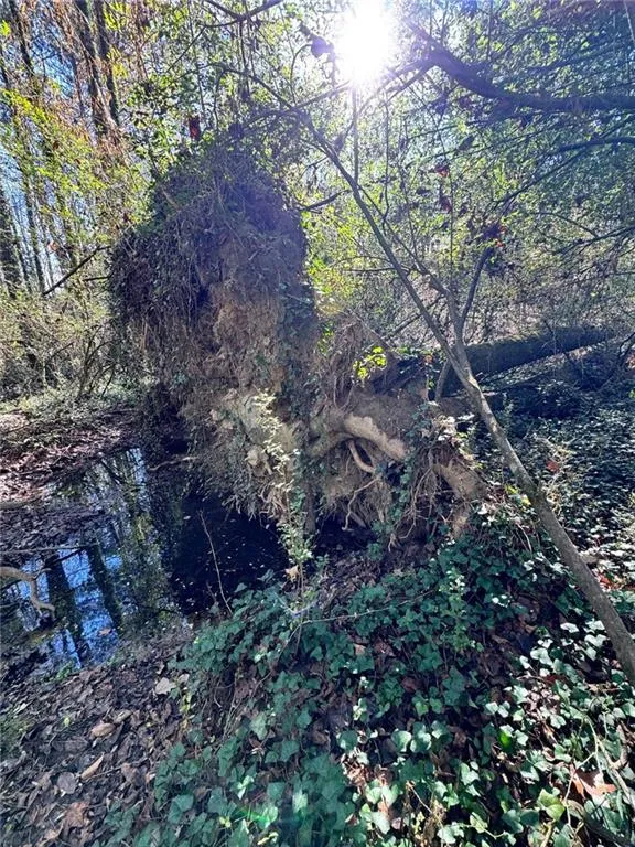 Lot 4 Miller Street Lithia Springs, GA 30122