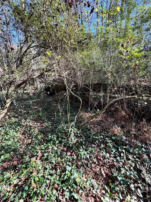 Lot 4 Miller Street Lithia Springs, GA 30122