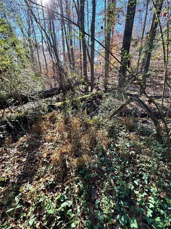 Lot 4 Miller Street Lithia Springs, GA 30122