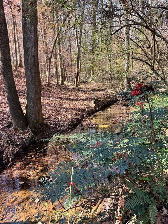 Lot 4 Miller Street Lithia Springs, GA 30122