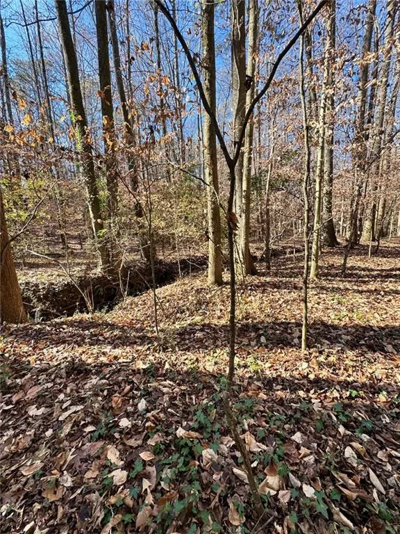 Lot 4 Miller Street Lithia Springs, GA 30122
