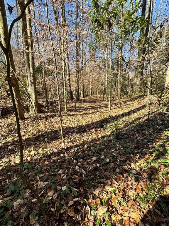 Lot 4 Miller Street Lithia Springs, GA 30122