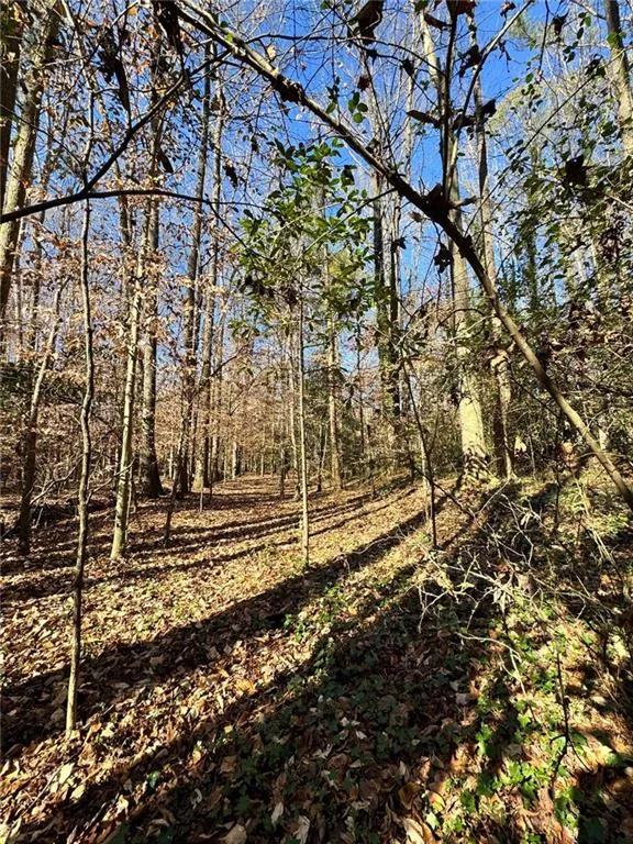 Lot 4 Miller Street Lithia Springs, GA 30122