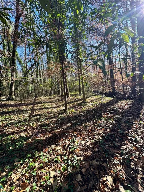 Lot 4 Miller Street Lithia Springs, GA 30122