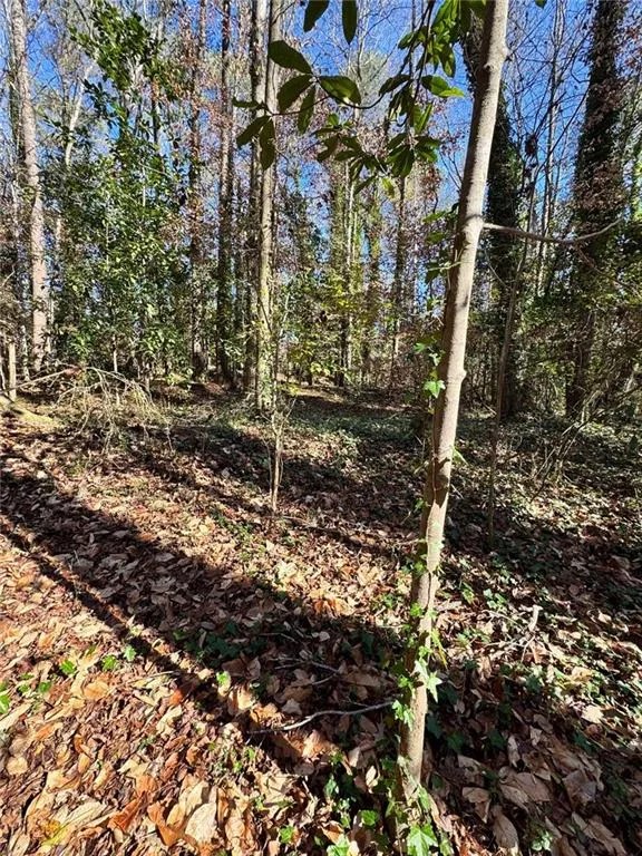 Lot 4 Miller Street Lithia Springs, GA 30122