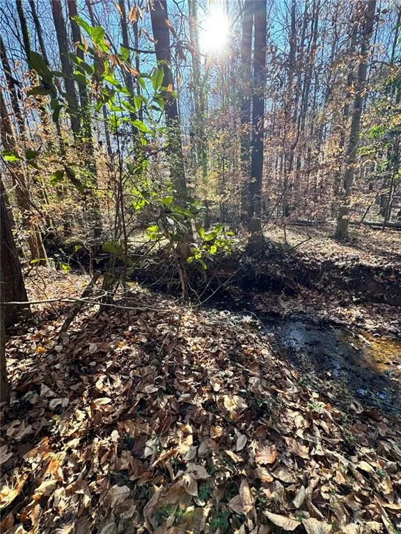 Lot 4 Miller Street Lithia Springs, GA 30122