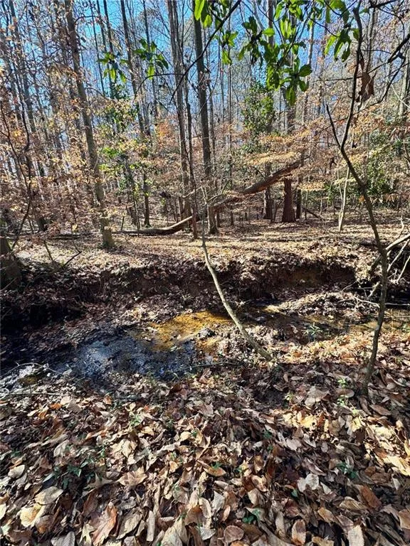 Lot 4 Miller Street Lithia Springs, GA 30122